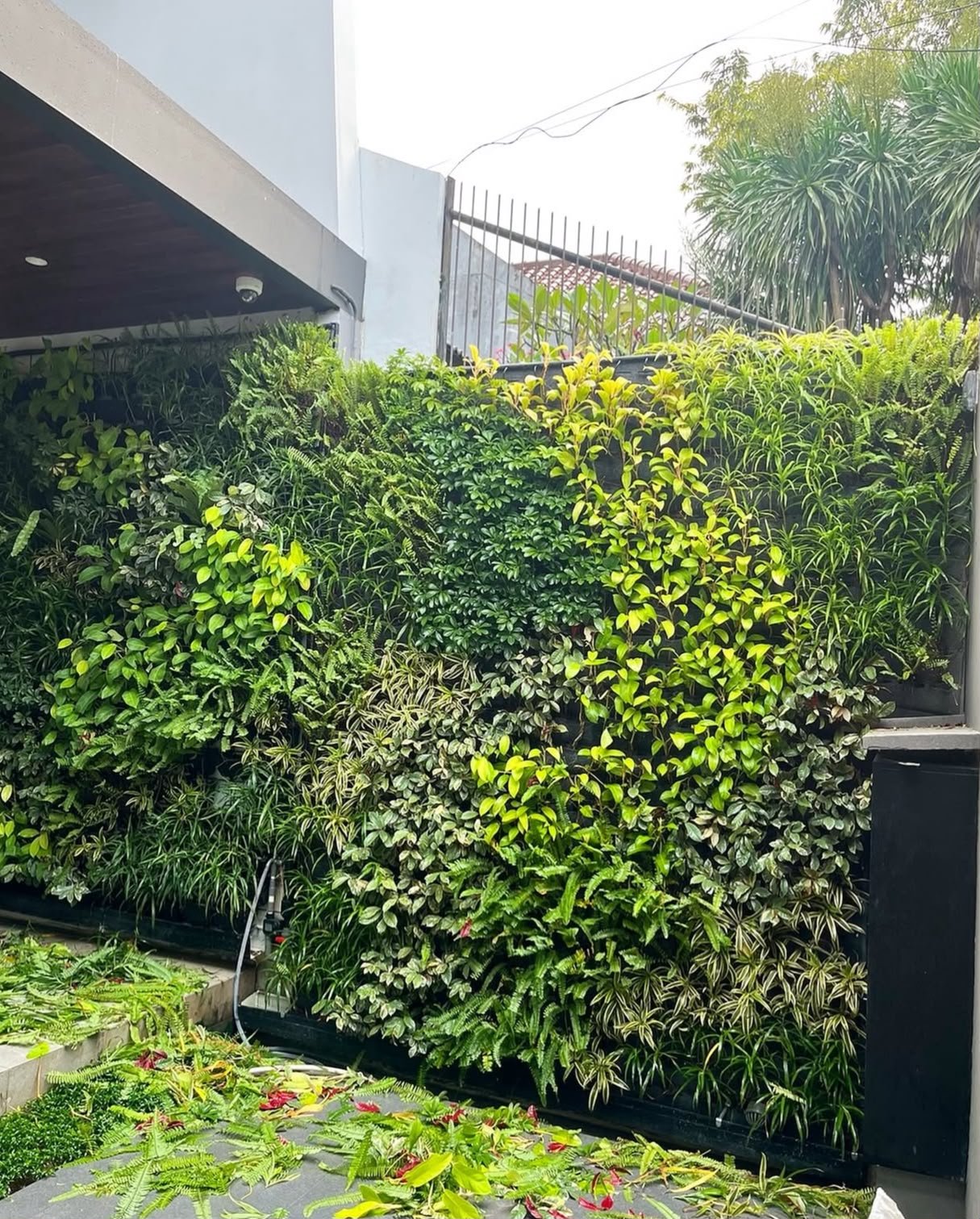 Vertical garden